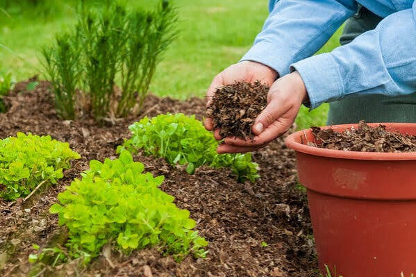 Mulch Supplier
